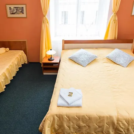 Hotel Garni 3*